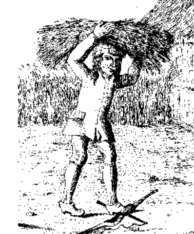 Stauvnsbåndets ophævelse