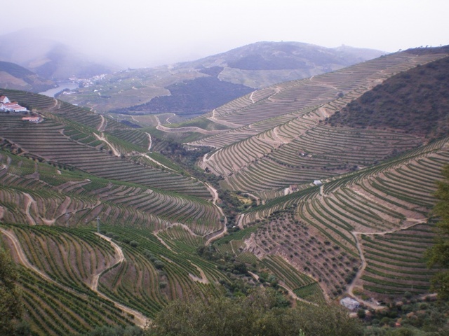 Companhia Geral de Agricultura das Vinhas do Alto Douro