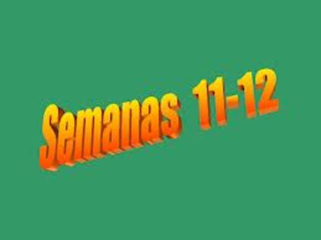 Actividades del 11 al 12 de Noviembre