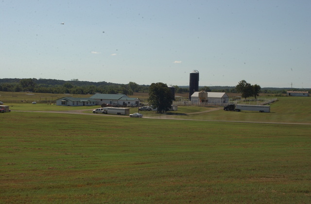 Traveling with Cattle