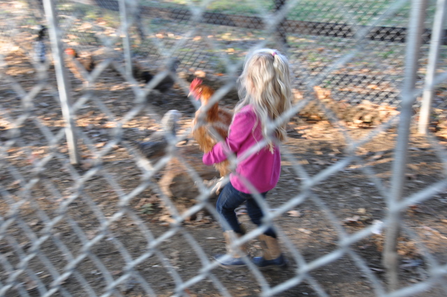 Opportunities for Juniors