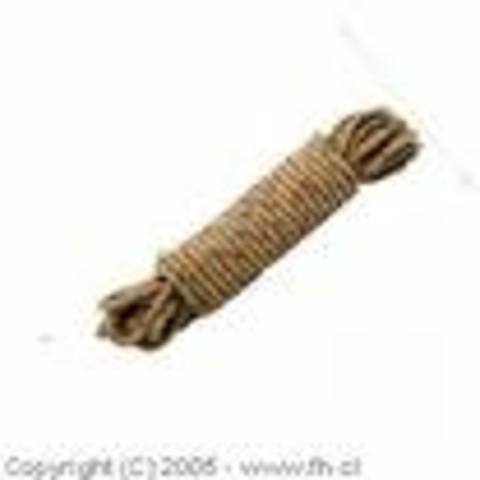 a. C INSPECTORES EGIPCIOS