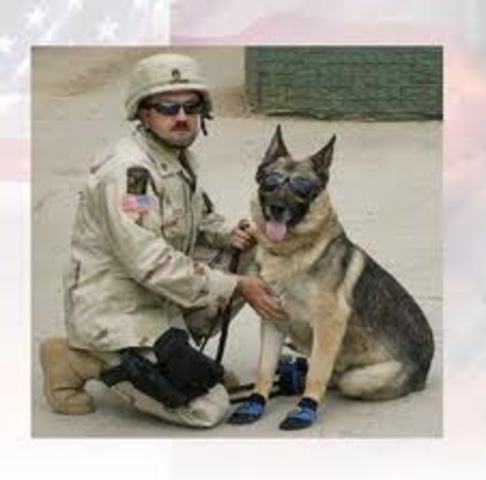 Cracker and Wilie are reunited