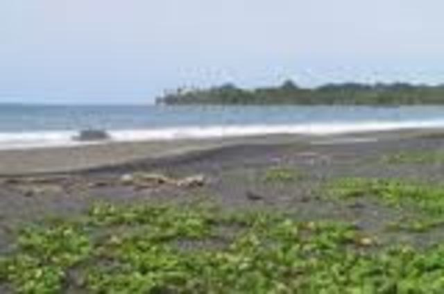 Colón llega a Cariay o Cariari