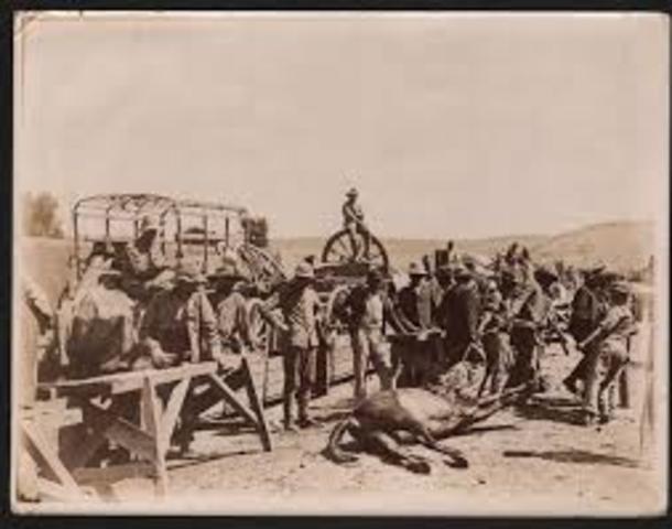 First Anglo colony in Texas