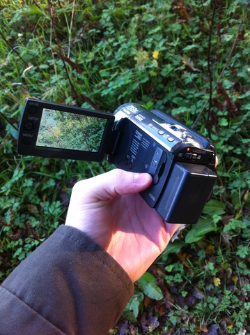 Shooting Diary 21st November