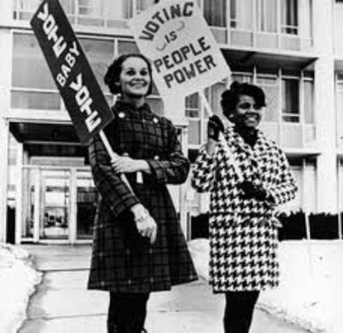 why is the franchise important in the american constitutuional system?