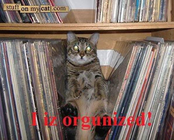 OrganizeInfo in Draft