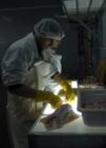 CALIDAD EN LAS ACTIVIDADES