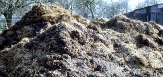 1816. aasta Eestimaa talurahvaseadus