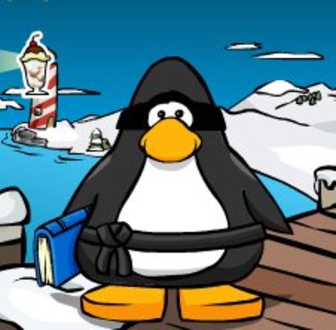 TERMINO DE LOS TRABAJOS DE INSPECCIÒN