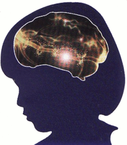 Middle Childhood: Biosocial