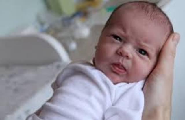 "Liikide tekkimine“ 1859