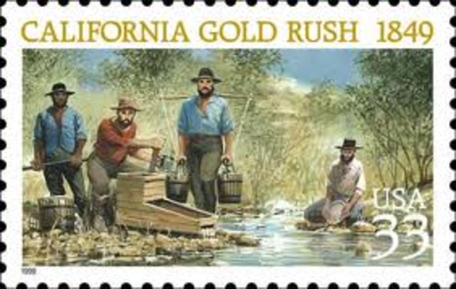 Cal Gold Rush begins