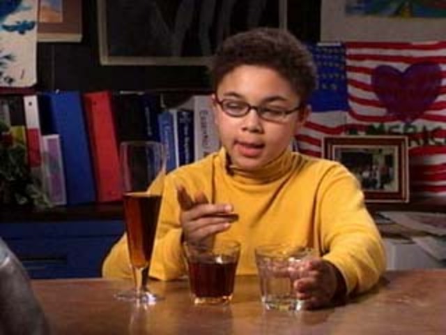 Middle Childhood: Cognitive Development