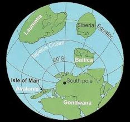 500 MYA: New subduction zones bring Gondwana and Laurentia together.