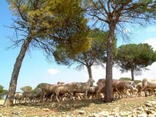 Reforma constitucional de 1936