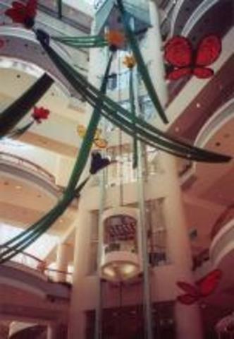 In 1999 we moved to Syracuse New York