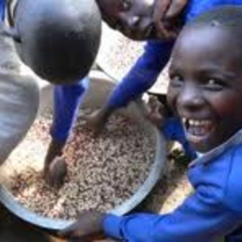 Underweight children