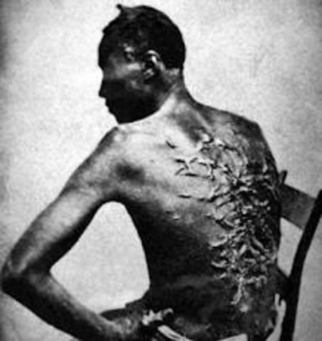 Forordningen om negerhandel