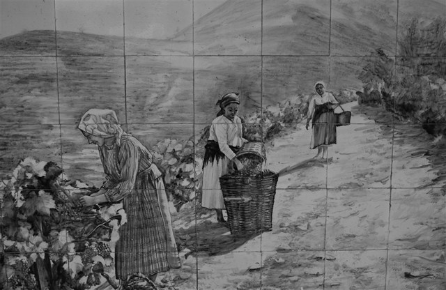 Companhia Geral de Agricultura das Vinhas do Alto Douro