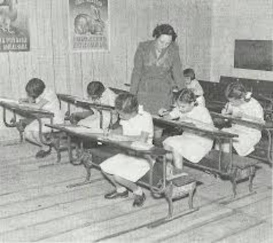 Instrução primária