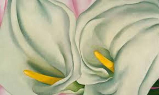 Stieglitz announces sale of six O’Keeffe calla lily paintings