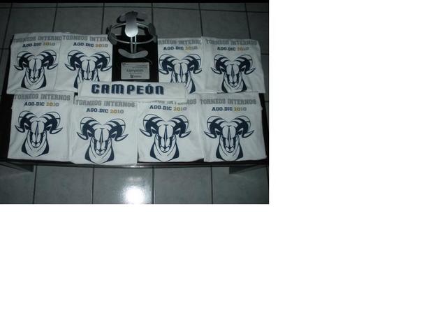 Campeones torneos internos