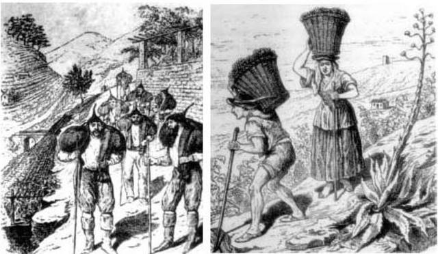 Companhia Geral de Agricultura das Vinhas do Alto Douro