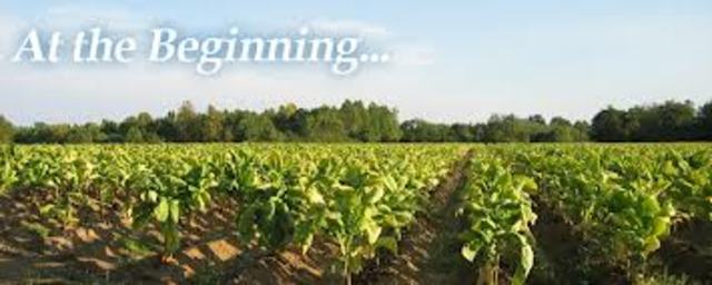 Columbus notes tobacco