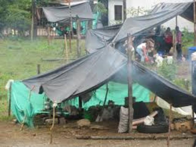 creacion comite para las comunidades negras