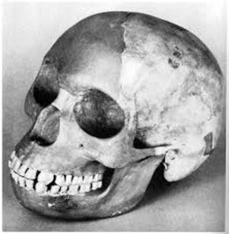 piltdown man hoax