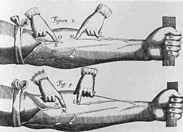 Harvey Publishes 'On the Motion of the Heart and Blood in Animals'