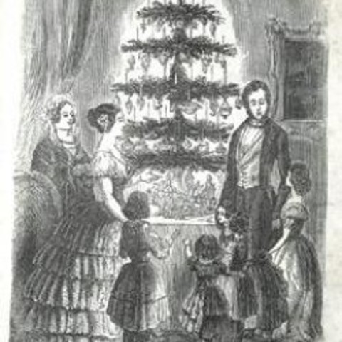 First Christmas Tree