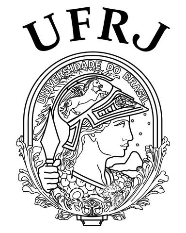 Primeiros estudos sobre informática na educação [Universidade Federal Rio de Janeiro]