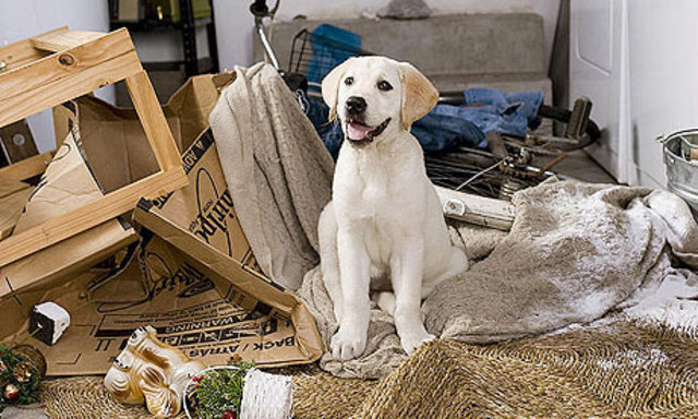 Adjusting to New Roomate