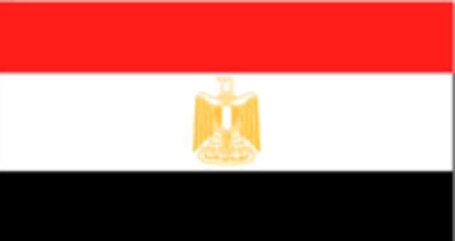 Egyptian man sets fire to himself in protest