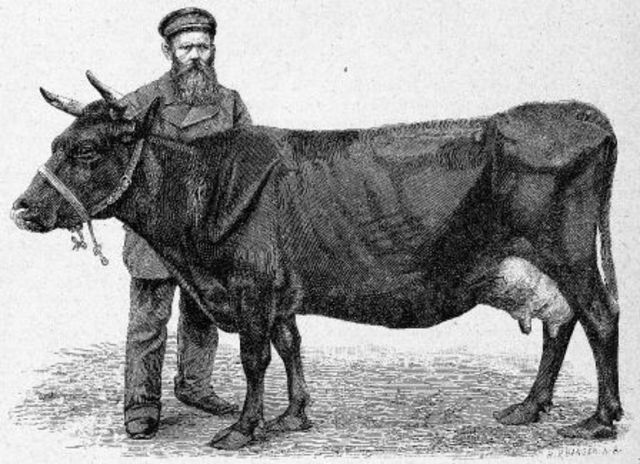 Landbrugets omlægning