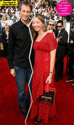 Tony Hawk Divorced Lhotse Merriam