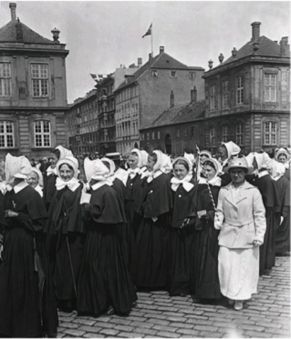 Kvinderne får stemmeret ved Folketingsvalget