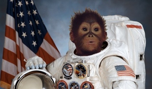 Space Monkey