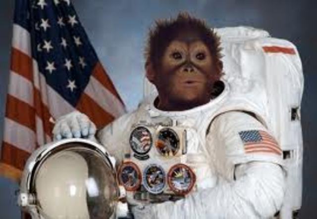 Space Monkey