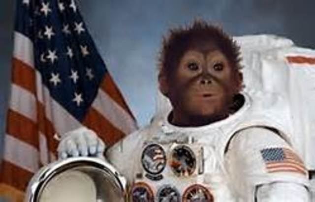 Space Monkey