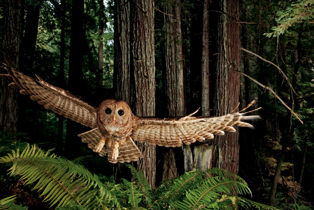 JSMA Exhibition Opening