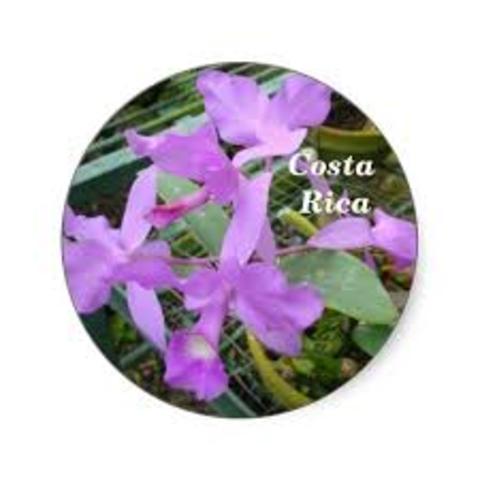 Historia de Costa Rica: Guaria Morada y el Arbol de Guanacaste