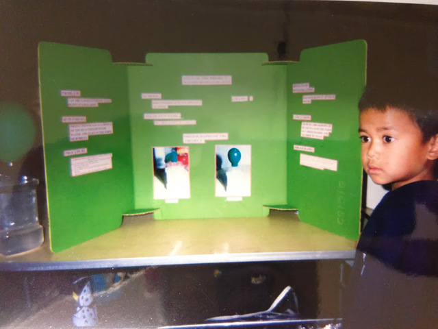 2nd Grade Science Fair