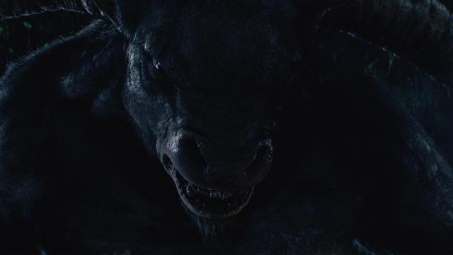 My mother teaches my bullfighting!