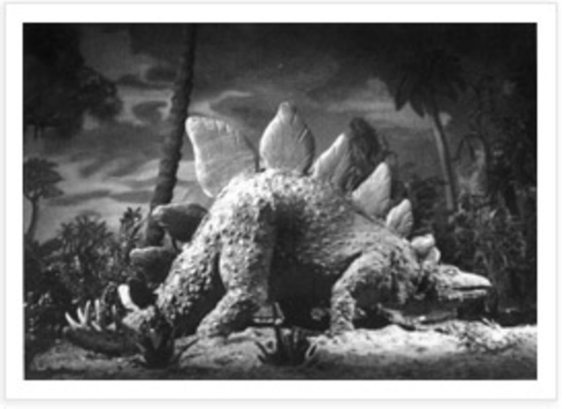 Learning about animation