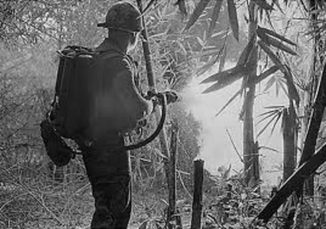 The Vietnam War & Draft Dodgers