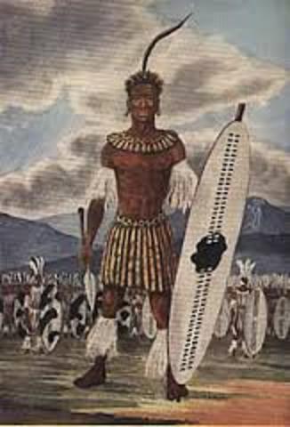 Shaka Unites Zulu Kingdom